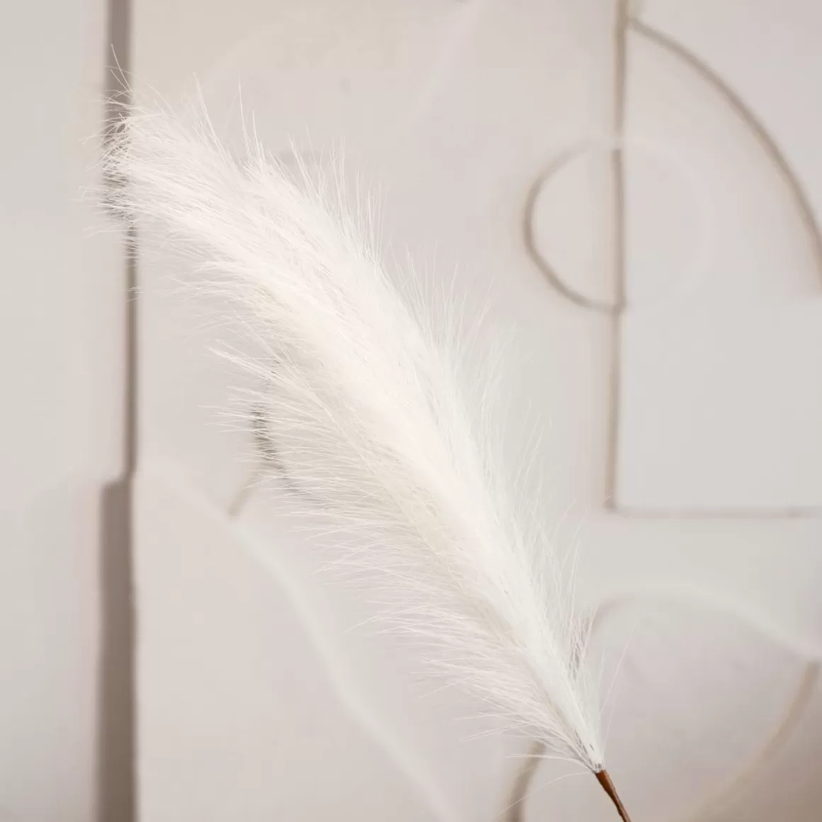 HOMLA Galazka Canne Sztuczna 100 Cm