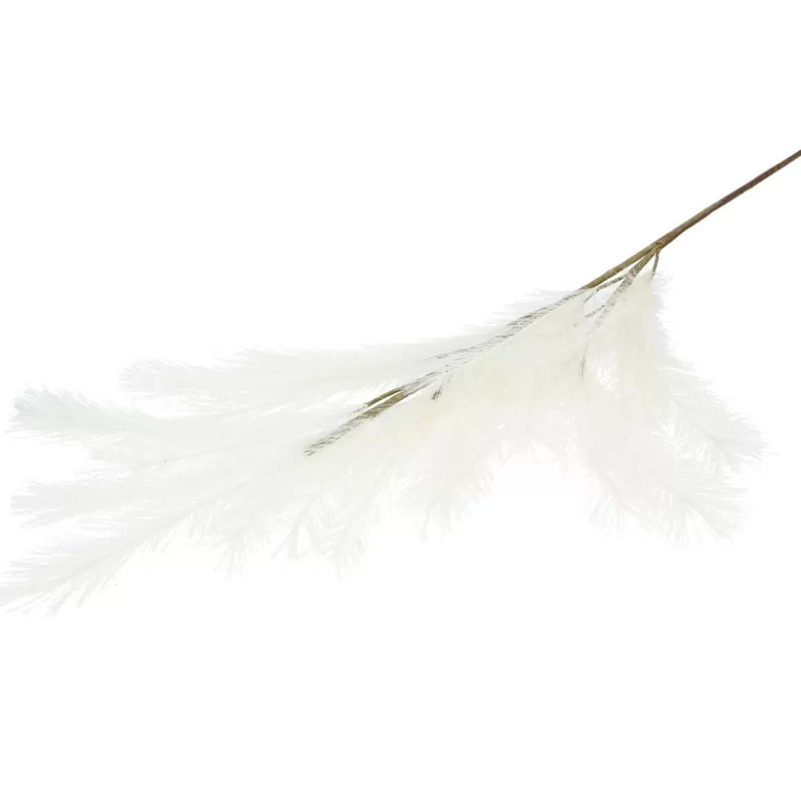 HOMLA Galazka Canne Sztuczna 100 Cm