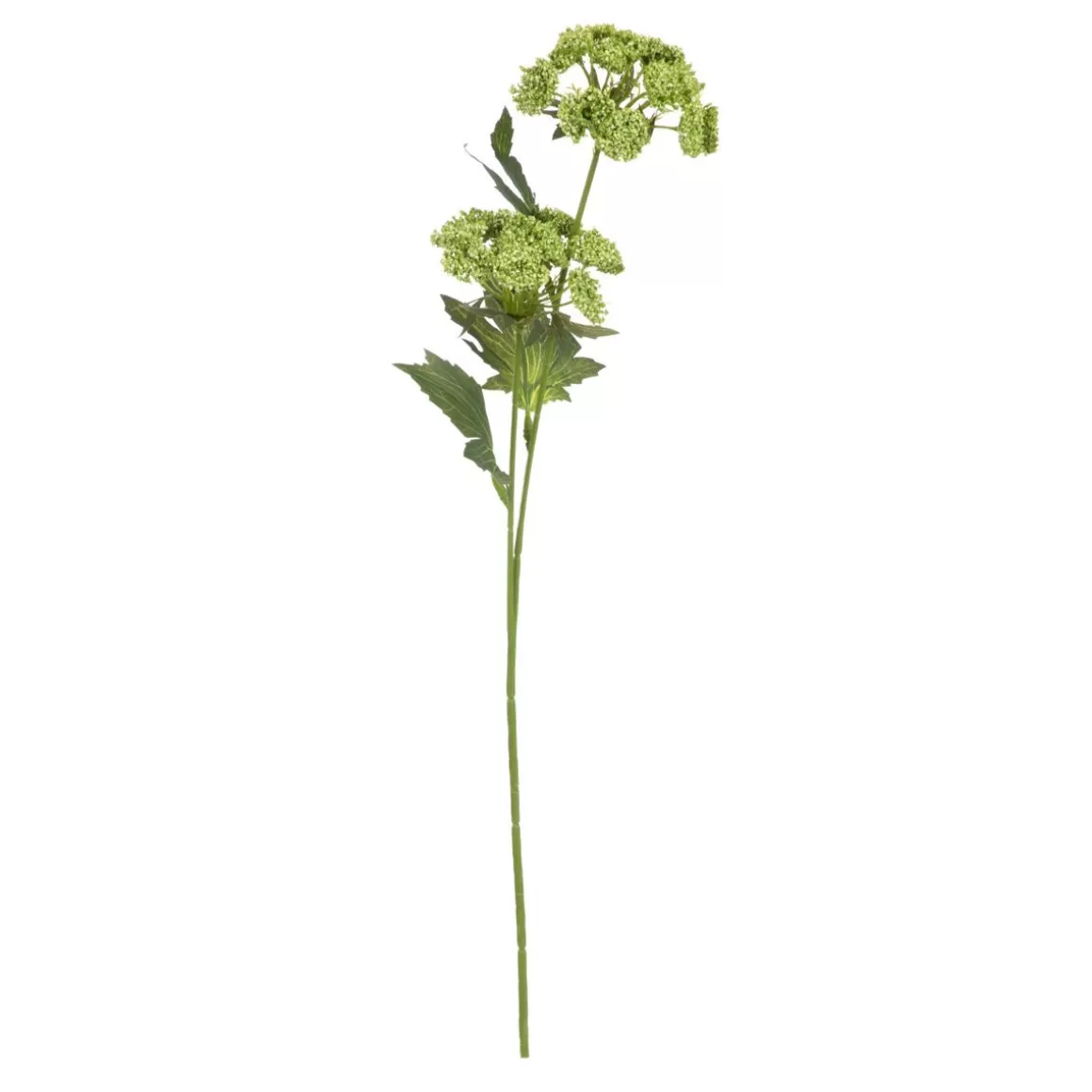 HOMLA Galazka Sztuczna Anise Anyz Zielona 48 Cm