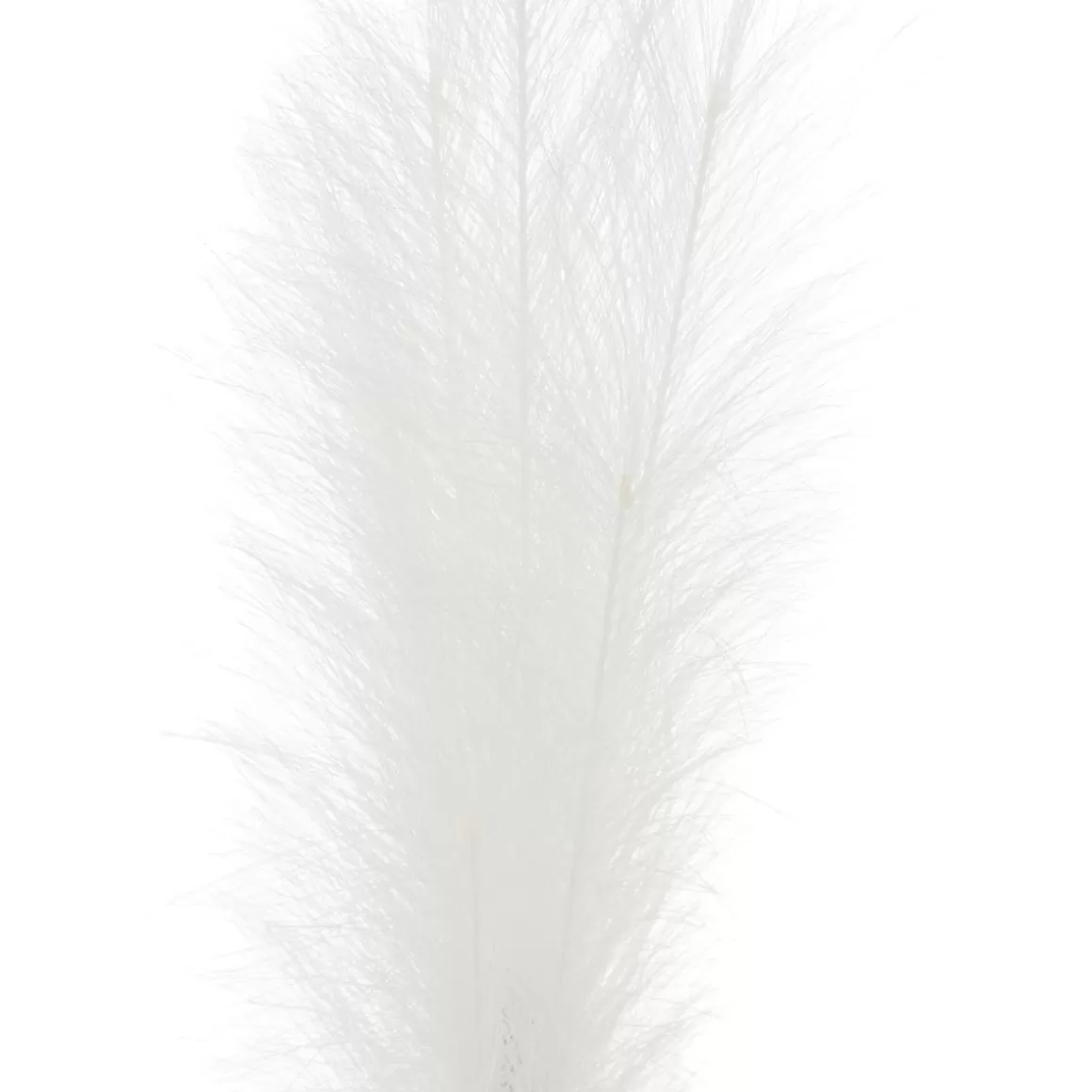 galazka_sztuczna_canne_kremowa__cm_2.webp HOMLA Galazka Sztuczna Canne Kremowa 97 Cm