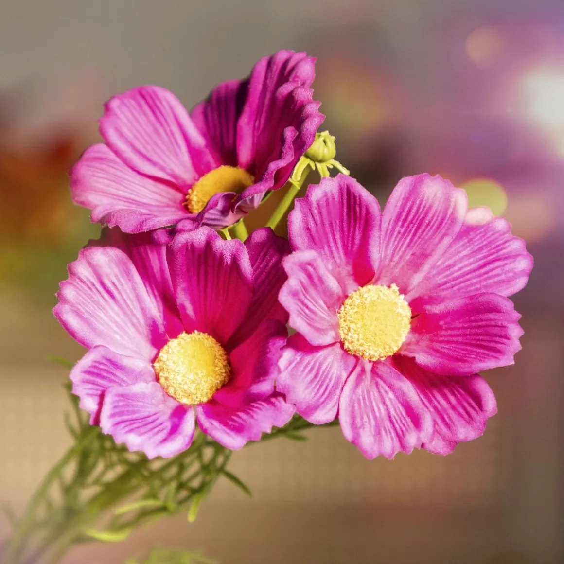 HOMLA Galazka Sztuczna Cosmos Fioletowa 65 Cm