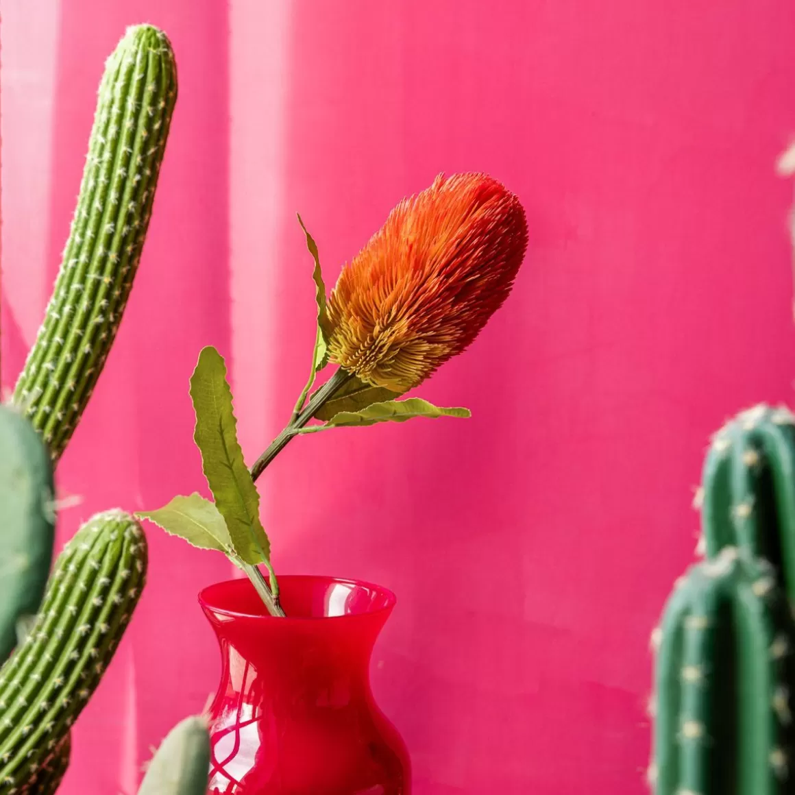 HOMLA Galazka Sztuczna Malum Banksja 66 Cm