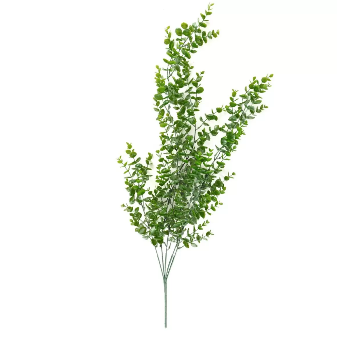 HOMLA Galazka Sztuczna Tanum Eukaliptus 80 Cm