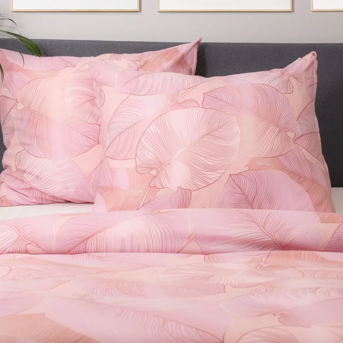 pociel_gallo_z_mikrofibry_rozowa_w_liscie_x_cm_2-1.webp HOMLA Pościel Gallo Z Mikrofibry Rozowa W Liscie 160X200 Cm