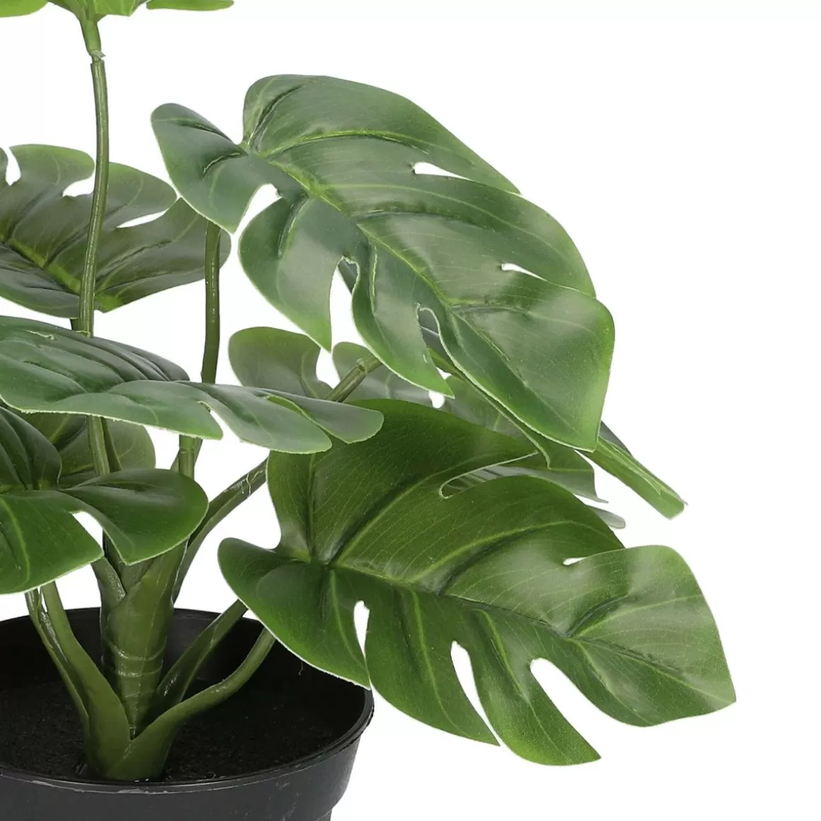 roslina_monstera_sztuczna__cm_5.webp HOMLA Roslina Monstera Sztuczna 29 Cm