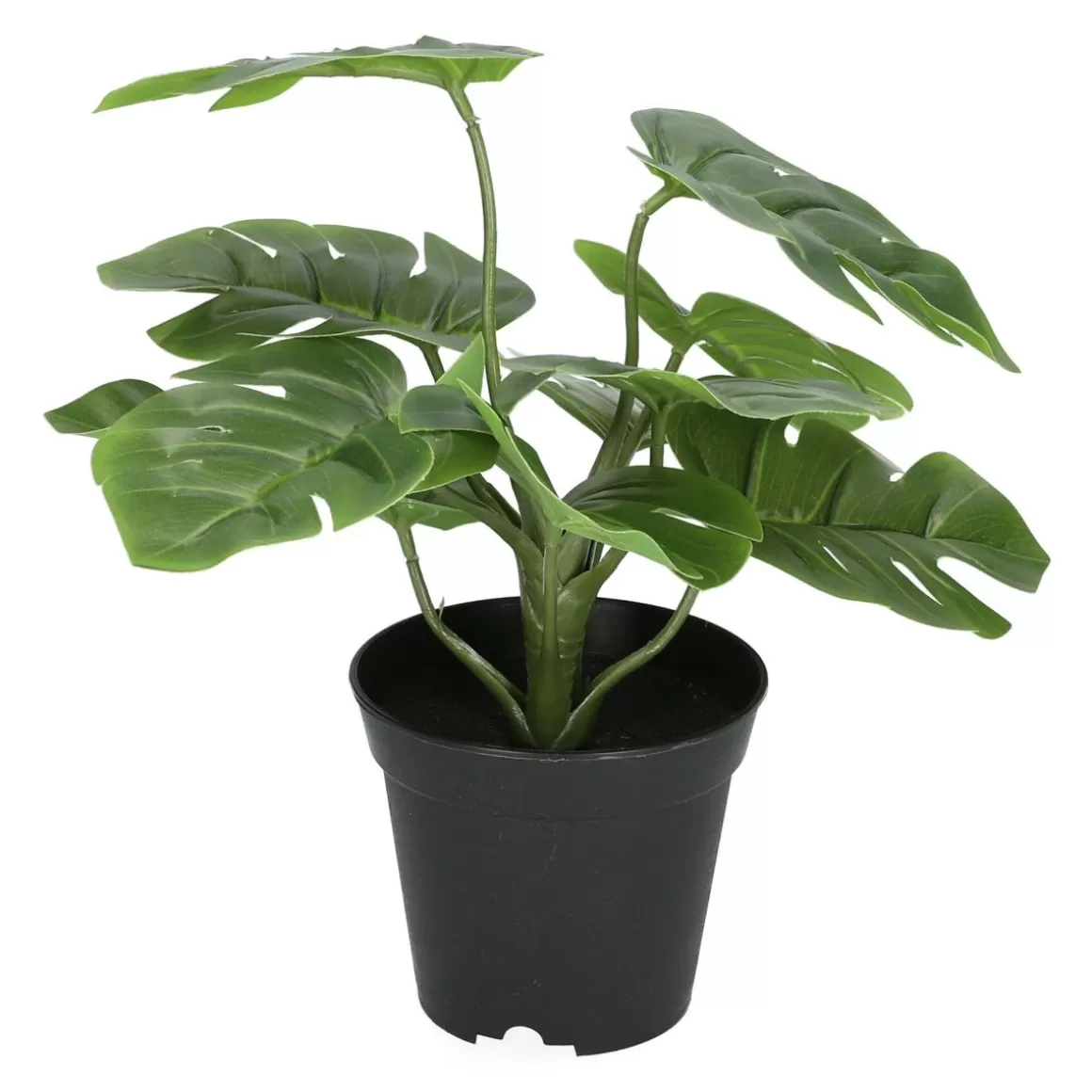 roslina_monstera_sztuczna__cm_6.webp HOMLA Roslina Monstera Sztuczna 29 Cm