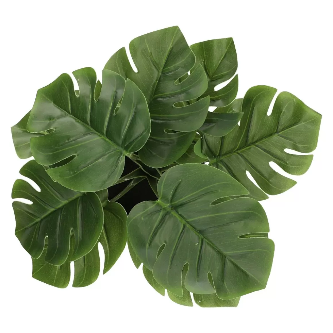 roslina_monstera_sztuczna__cm_7.webp HOMLA Roslina Monstera Sztuczna 29 Cm