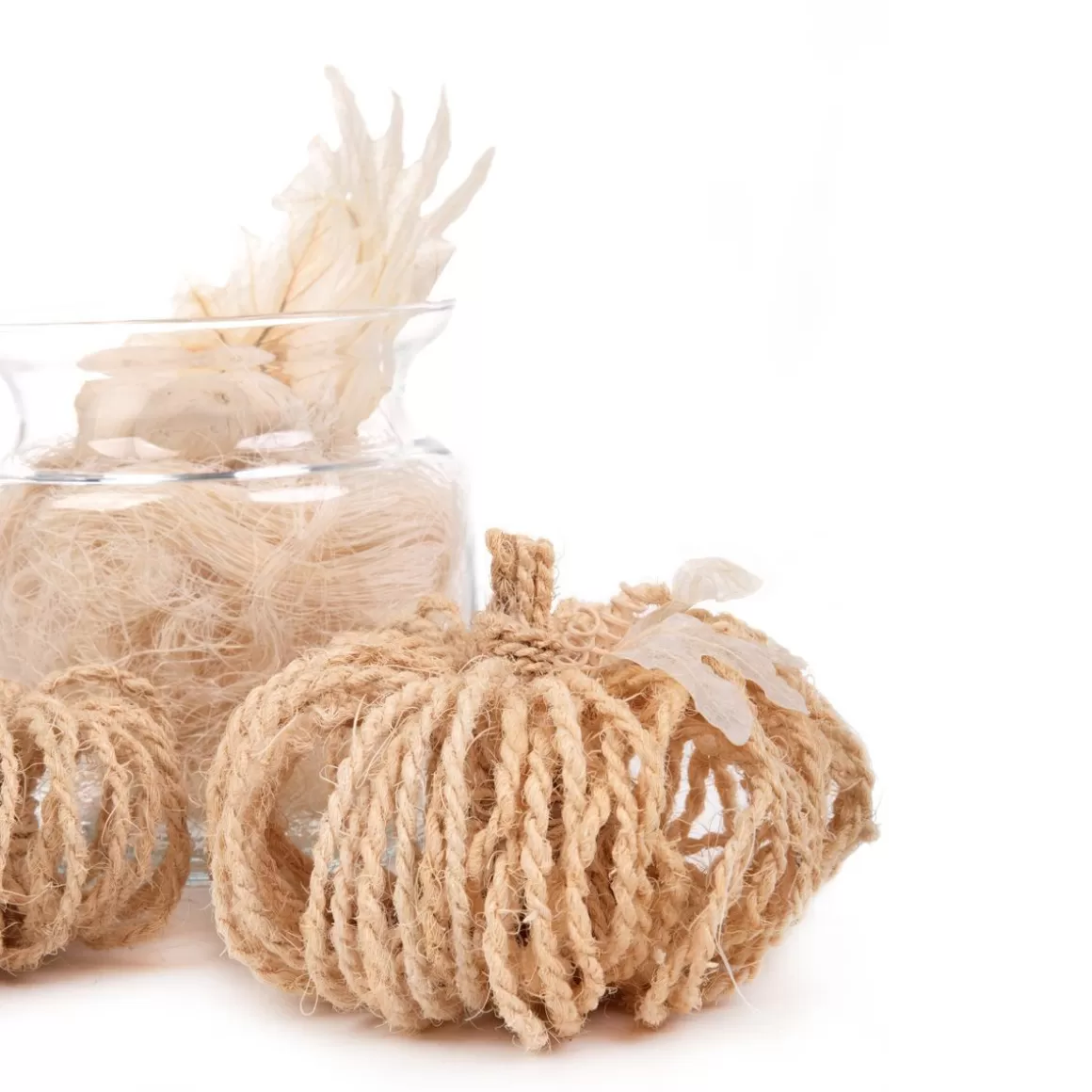 HOMLA Susz Dekoracyjny Roque Z Dyniami Z Wlokna Kokosowego 20X22 Cm