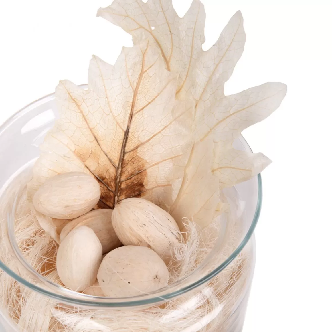 HOMLA Susz Dekoracyjny Roque Z Dyniami Z Wlokna Kokosowego 20X22 Cm